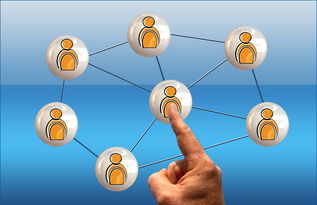 AC米兰-世界足球推广：南南合作助力新兴市场崛起，南亚足球强国