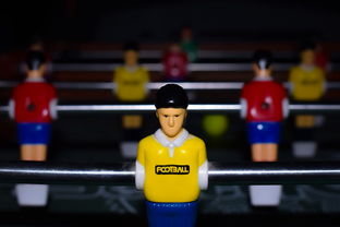 -世界足球赛事的多彩幕后：球迷、志愿者的故事，足球志愿者招募