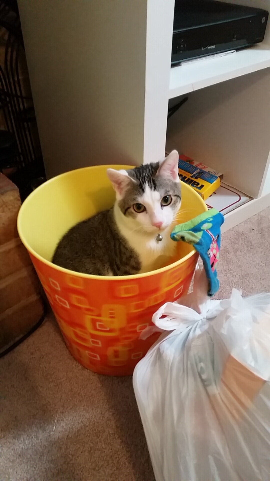 米兰体育官网-“快艇冲浪:马鞍山赛场极速挑战点燃观众热情”