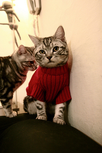 AC米兰-国家队比赛风格缺乏鲜明特色,国家队表现