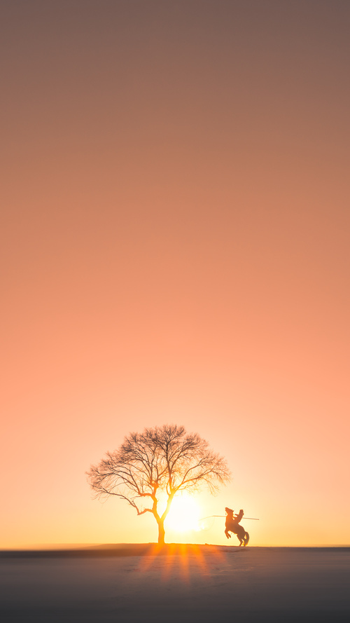 Milan Sports-多项目并行发展促进国家竞技水平提升,多项目并行管理