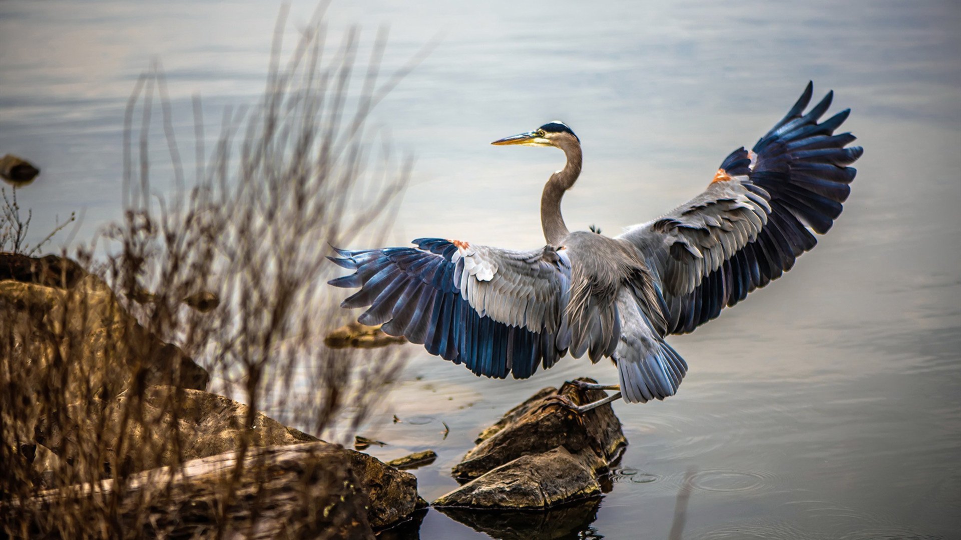 Milan Sports-德甲闪耀全场:攻势凌厉,精彩不断,德甲霸主